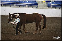 4H-State-Show-09_348.jpg