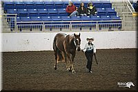 4H-State-Show-09_351.jpg