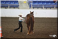 4H-State-Show-09_355.jpg