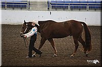4H-State-Show-09_357.jpg