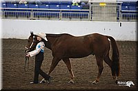 4H-State-Show-09_358.jpg