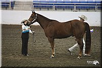 4H-State-Show-09_359.jpg