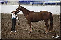 4H-State-Show-09_360.jpg
