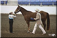 4H-State-Show-09_361.jpg
