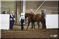 4H-State-Show-09_362.jpg