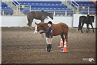 4H-State-Show-09_377.jpg