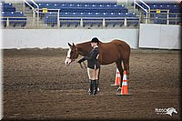 4H-State-Show-09_378.jpg