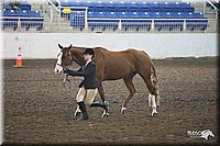 4H-State-Show-09_379.jpg