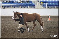 4H-State-Show-09_380.jpg