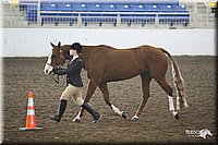 4H-State-Show-09_381.jpg