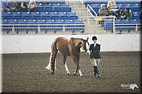4H-State-Show-09_382.jpg