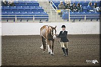 4H-State-Show-09_383.jpg