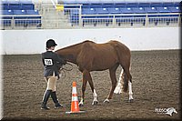 4H-State-Show-09_385.jpg