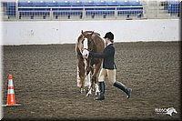 4H-State-Show-09_386.jpg