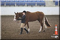 4H-State-Show-09_387.jpg