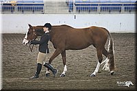 4H-State-Show-09_388.jpg