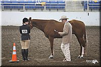 4H-State-Show-09_390.jpg