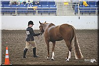 4H-State-Show-09_393.jpg