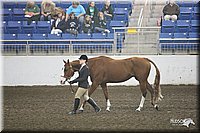 4H-State-Show-09_395.jpg