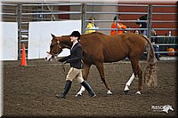 4H-State-Show-09_397.jpg