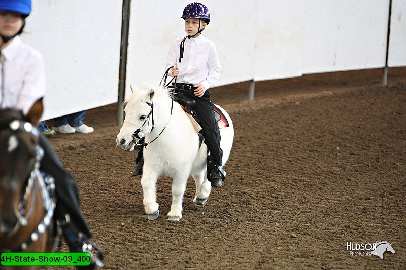 4H-State-Show-09_400.jpg