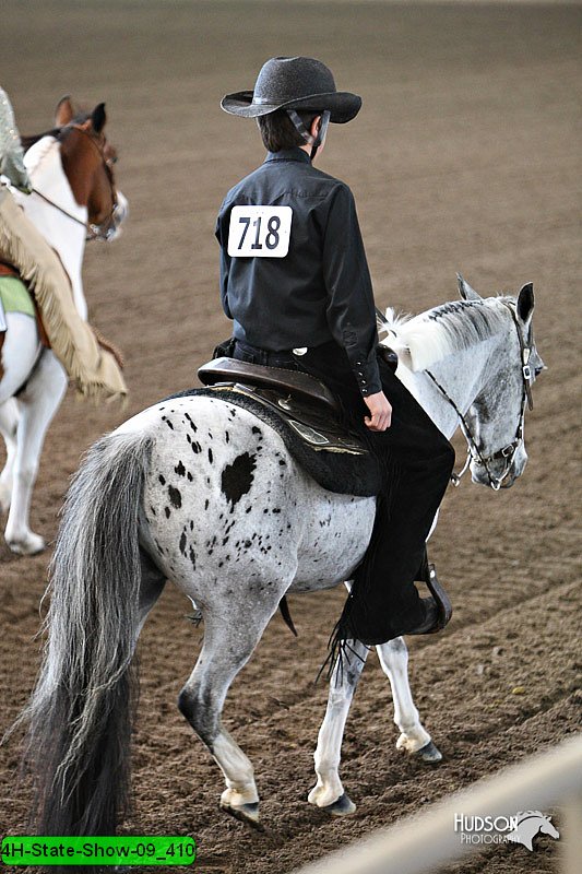 4H-State-Show-09_410.jpg
