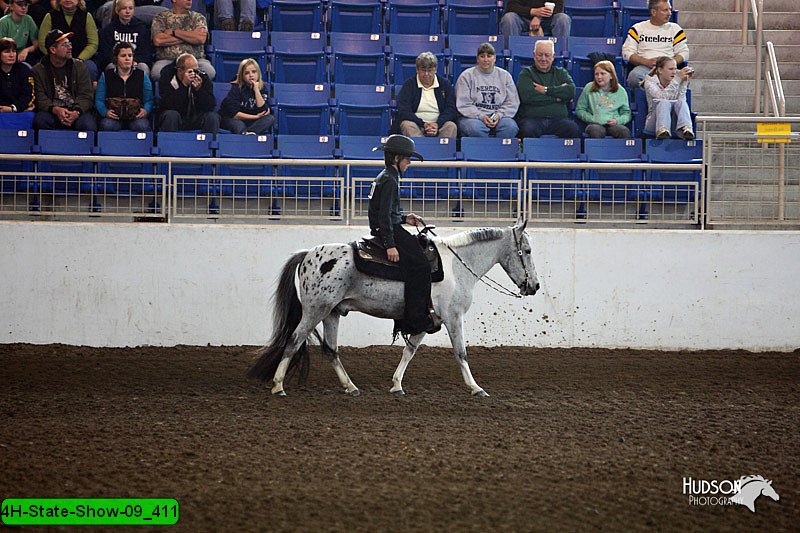 4H-State-Show-09_411.jpg
