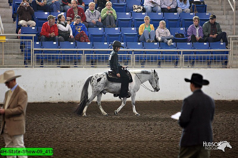 4H-State-Show-09_413.jpg