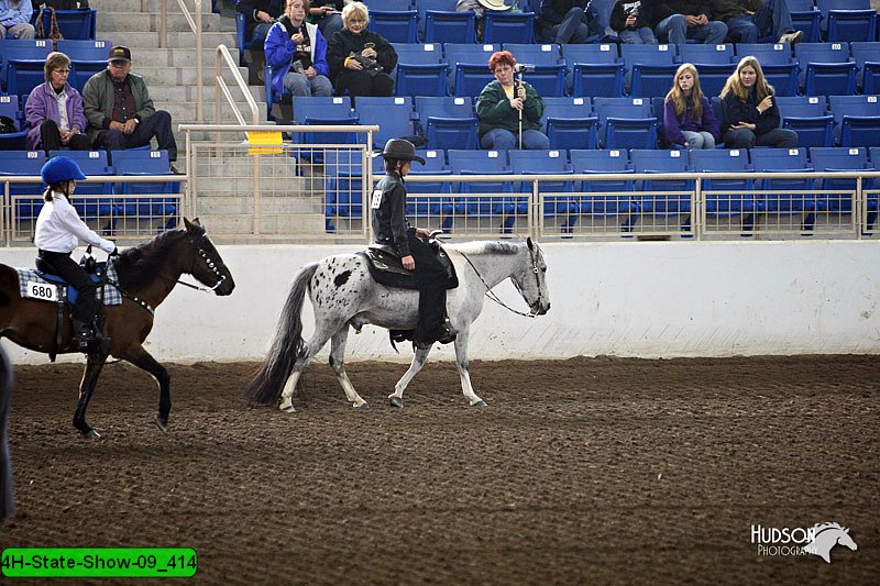 4H-State-Show-09_414.jpg