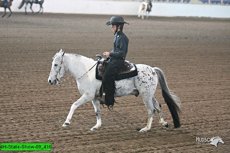 4H-State-Show-09_416.jpg