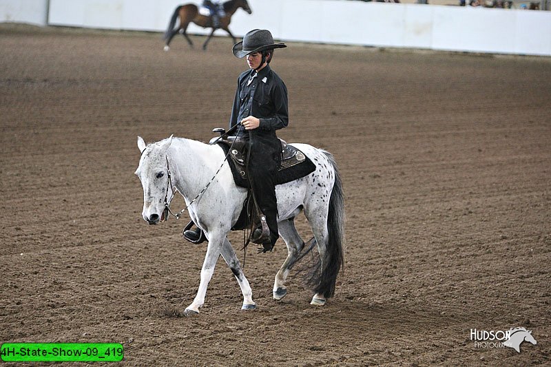 4H-State-Show-09_419.jpg