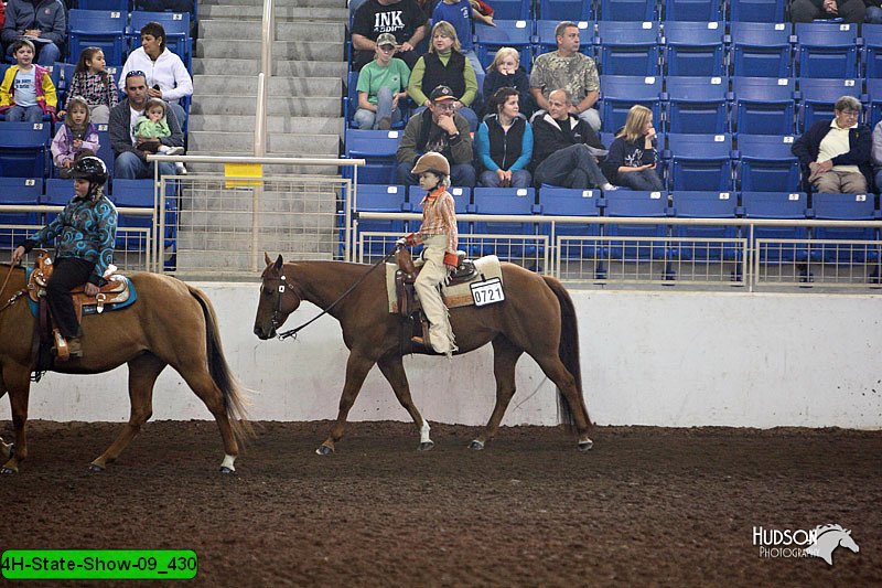 4H-State-Show-09_430.jpg