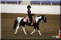 4H-State-Show-09_264.jpg