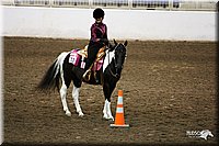 4H-State-Show-09_265.jpg