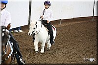 4H-State-Show-09_400.jpg