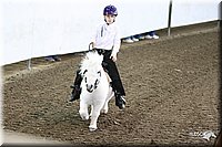 4H-State-Show-09_401.jpg