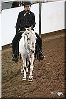 4H-State-Show-09_406.jpg