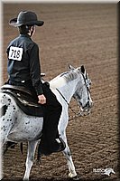 4H-State-Show-09_409.jpg