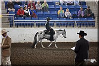4H-State-Show-09_413.jpg