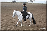 4H-State-Show-09_415.jpg