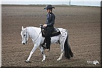 4H-State-Show-09_420.jpg