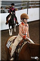 4H-State-Show-09_442.jpg