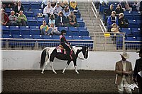 4H-State-Show-09_445.jpg