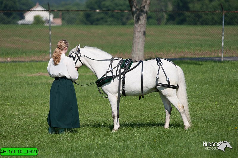 4H-1st-10-_0921.jpg
