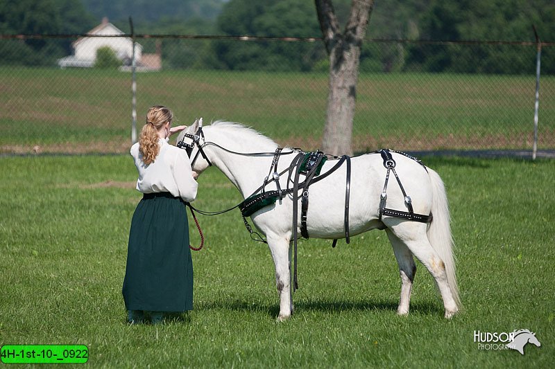 4H-1st-10-_0922.jpg