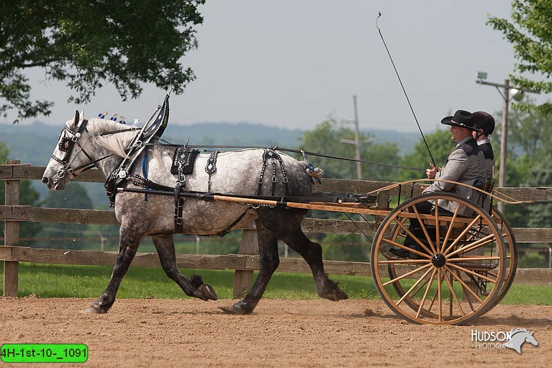 4H-1st-10-_1091.jpg