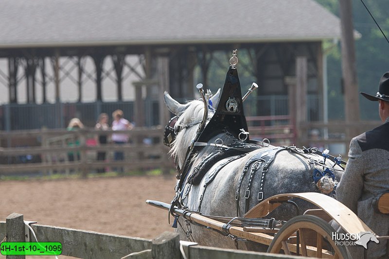 4H-1st-10-_1095.jpg