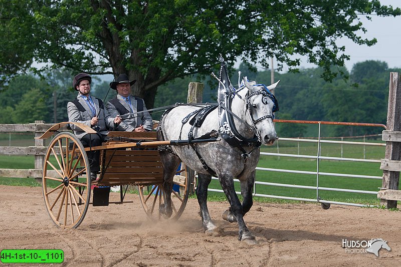 4H-1st-10-_1101.jpg