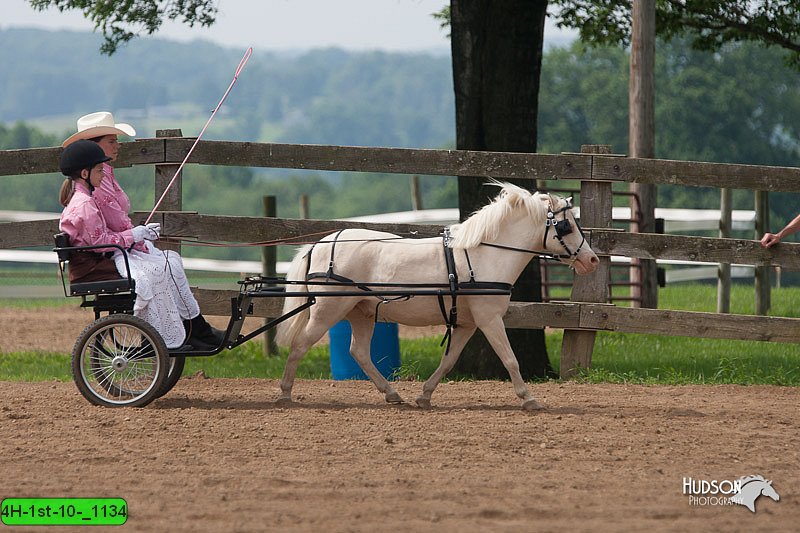 4H-1st-10-_1134.jpg