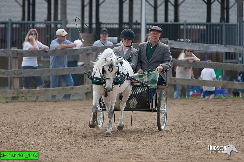 4H-1st-10-_1163.jpg